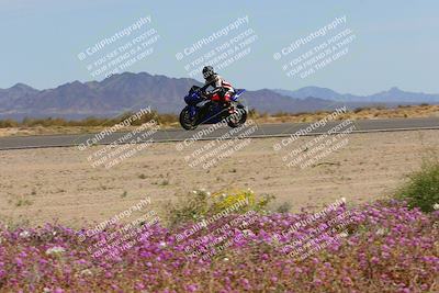 media/Mar-12-2023-SoCal Trackdays (Sun) [[d4c8249724]]/Turn 15 Inside Bloom (130pm)/